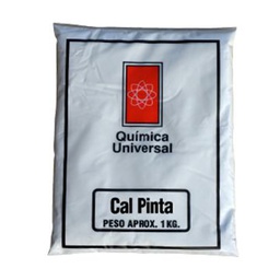 [T124] CAL PARA PINTAR 5KG QUIMICA UNIVERSAL PINTACAL